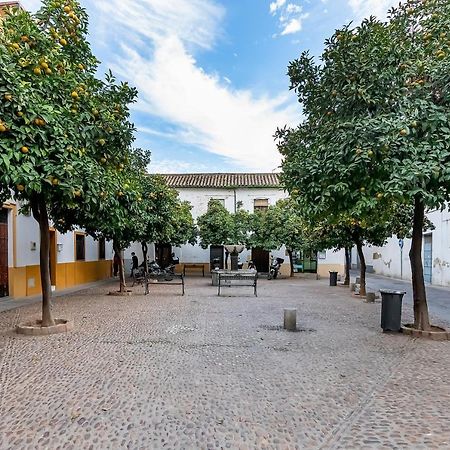 Bhost - Regina III Lägenhet Córdoba Exteriör bild