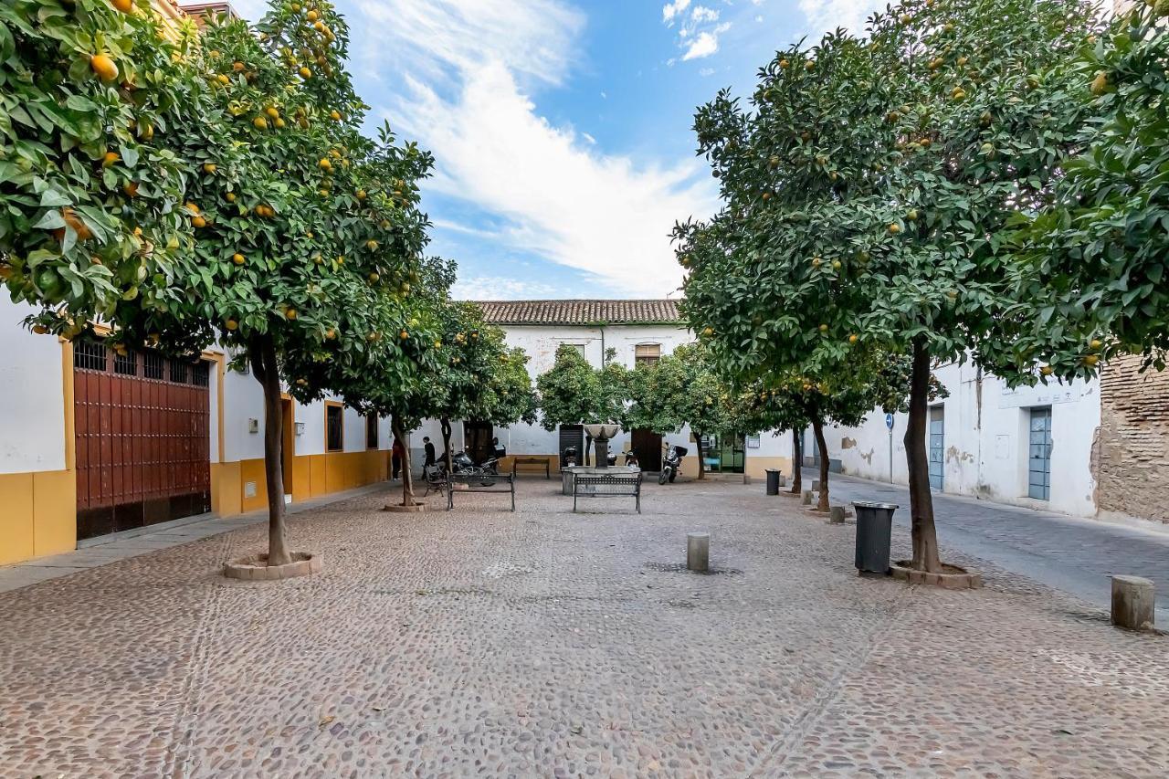 Bhost - Regina III Lägenhet Córdoba Exteriör bild
